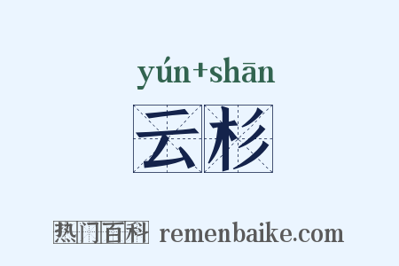 云杉是什么意思的图片